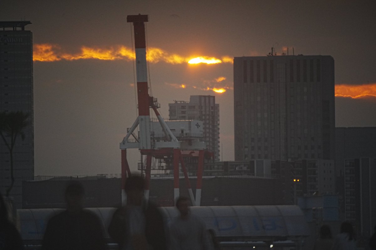 Zacharylion ありました