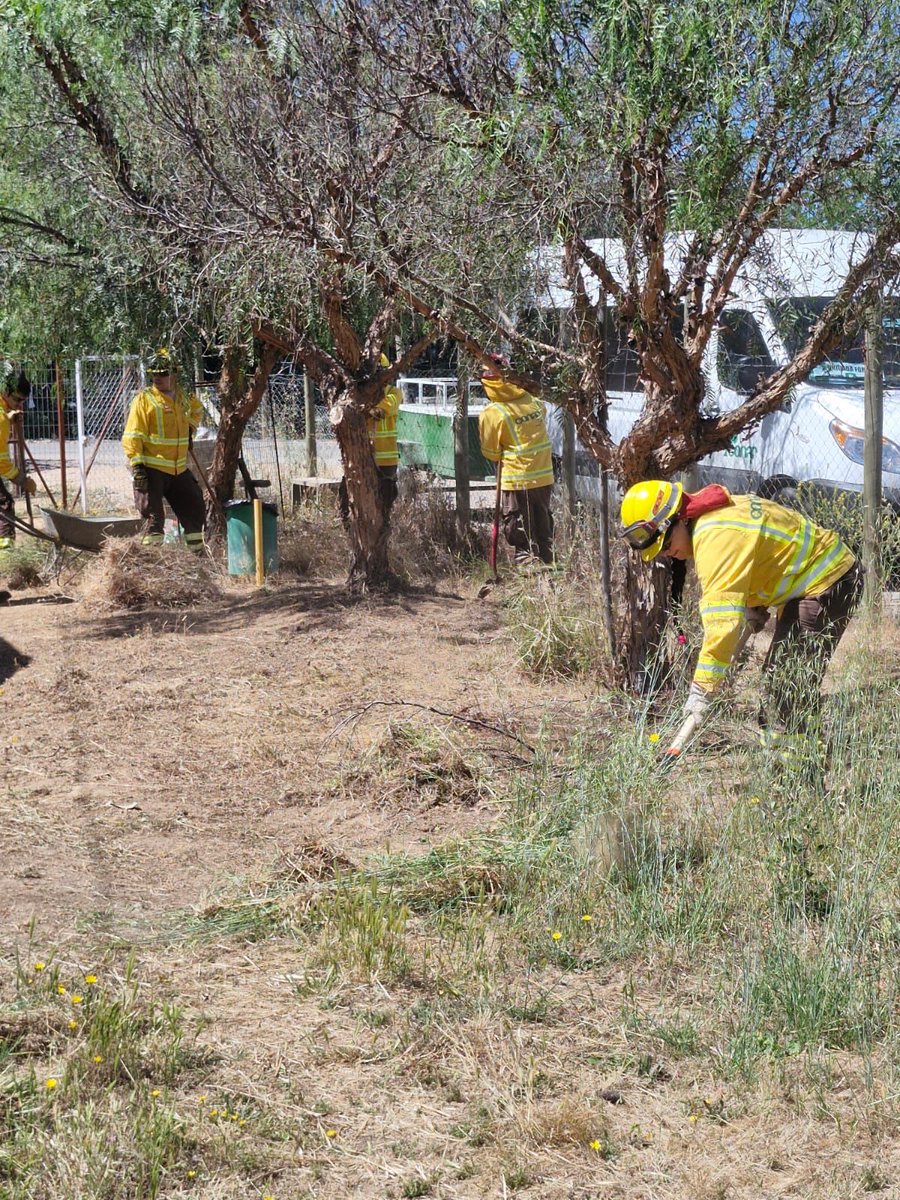 Limpieza de entorno de la Junta de Vecinos de La Gloria Pumanque, acción que  forma parte del plan de acción de la Comunidad Preparada. Agradecemos a la Brigada Peumo 8 por su disposición y excelente trabajo