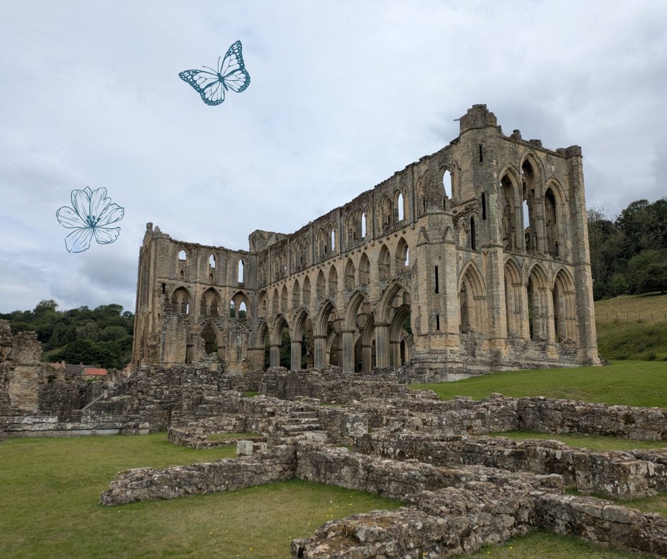 HelloYorkshire's tweet photo. It’s a great day to wander through an Abbey ruin! Let the quiet stones, open skies, and timeless architecture guide you through North Yorkshire’s rich past. #helloyorkshire #northyorkshire #abbeyruins #abbeysofengland #Abbeys https://t.co/Y7tt70ZZWZ