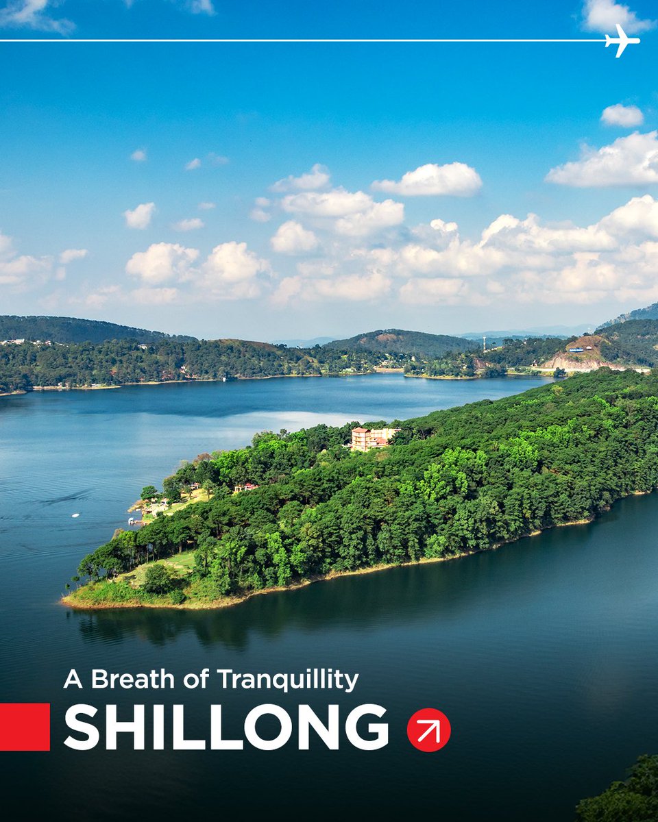 flyspicejet's tweet image. If the city feels heavy, it&apos;s time to take off. A little trip can make all the difference. Book now!

#flyspicejet #spicejet #destination #freshair #flights #aviation #addspicetoyourtravel

(1/2)