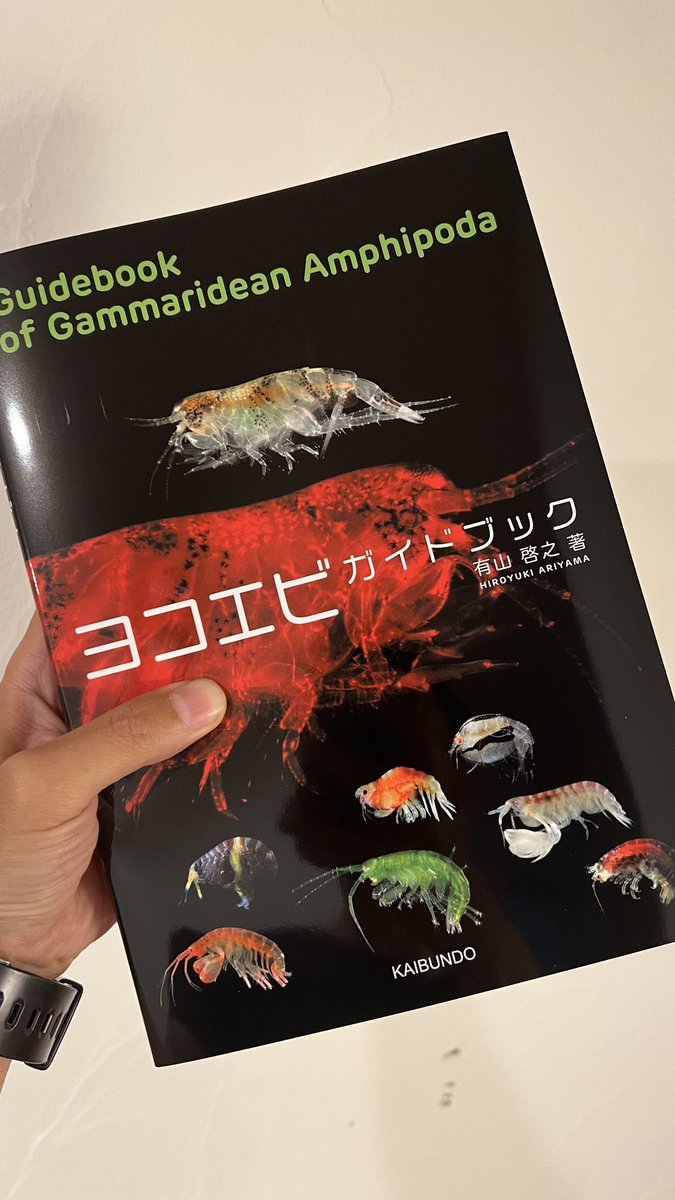正解です！！！ はこだて通信さんは「ヨコエビガイドブック」の編集の