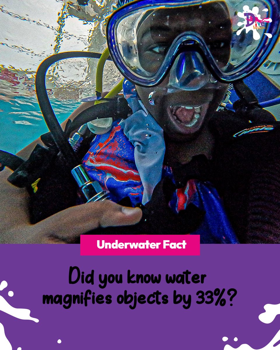 DiveInclusive's tweet image. Underwater objects look 33% bigger and our young divers love discovering why. 🌊

Every dive sparks curiosity, builds confidence, and opens a new world.

#diveinclusive #scubadiving #youthdevelopment #underwater #WeareSSI #JCScuba