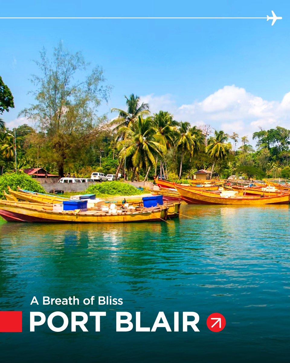 flyspicejet's tweet image. If the city feels heavy, it&apos;s time to take off. A little trip can make all the difference. Book now!

#flyspicejet #spicejet #destination #freshair #flights #aviation #addspicetoyourtravel

(1/2)