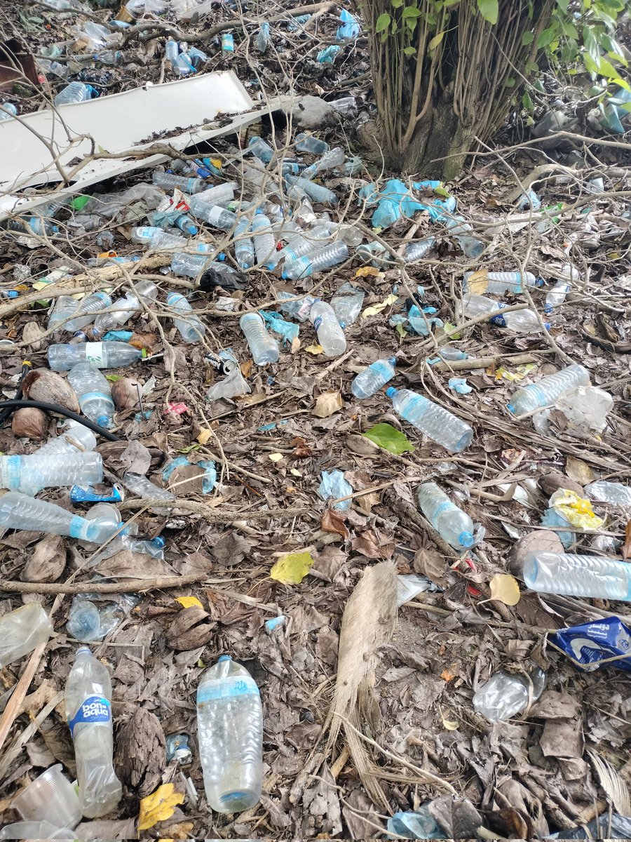 ރޯދާއް ގޭ ސައުފު ކޮއްފައި  ފަޅަ ގެވަޑަކައް ނުންފެހޭ ކަޅިބިތައް އެއްލުން ހުއްޓަލައު