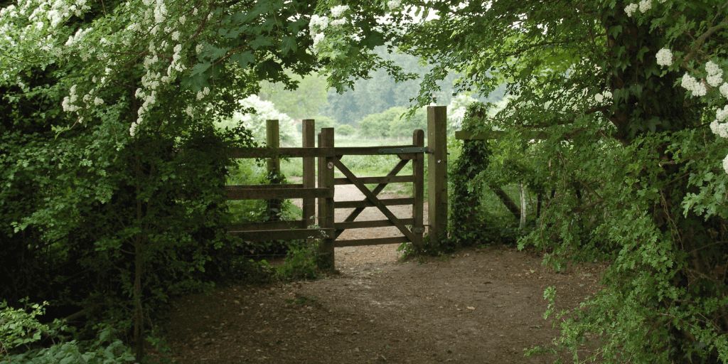 Entry Deadline for the Texas Co-op Power Photo Contest–Focus on Texas: Gates is Dec 10, 2025

They keep livestock in and trouble out, but gates also welcome friends and family with their charm

For April, showcase the entry to your little slice of heaven

buff.ly/3WE9Z7X