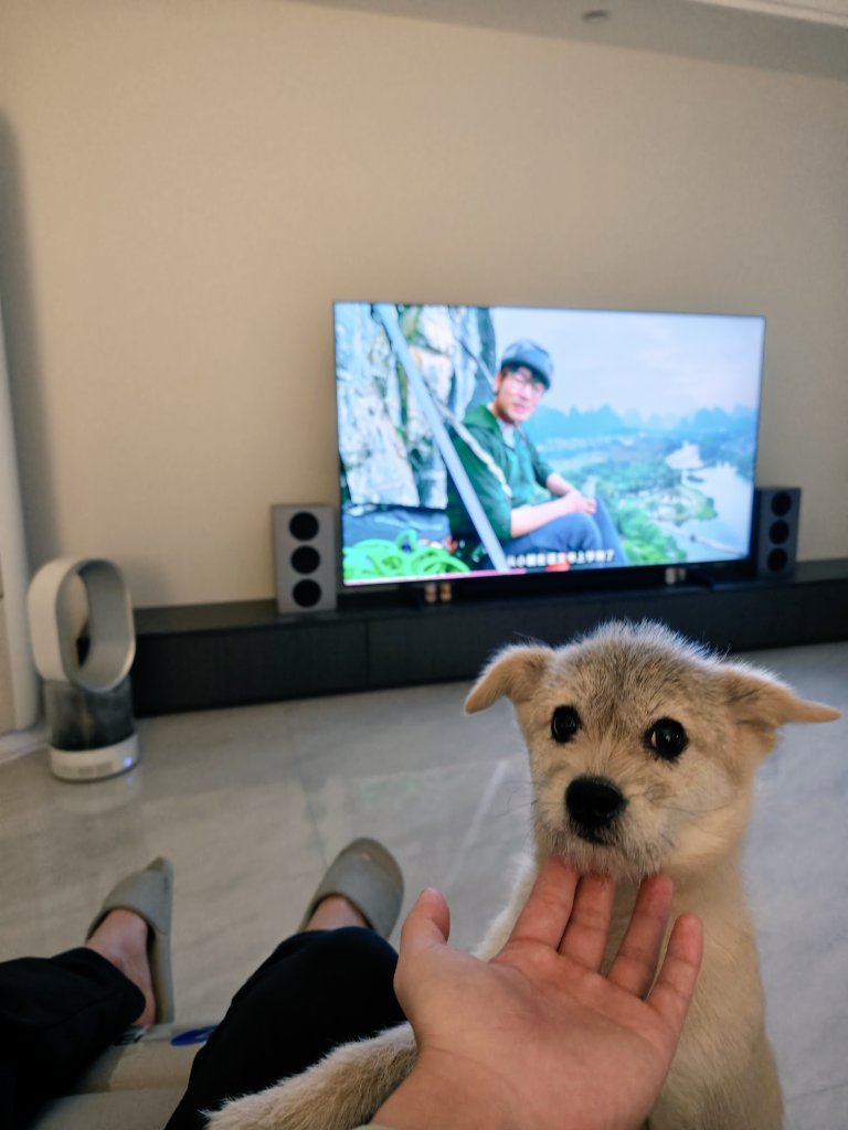 La semana pasada, fui a una reunión presencial en Cursor Cafe y, por desgracia, me enfermé de gripe. Esta semana, entre