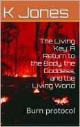 KadyJones614486's tweet image. The Living Key is not a book—it’s a map. 🔑 A descent, a wound, a return. A guide back to the body, the goddess, and the living world. #TheLivingKey #BurnProtocol