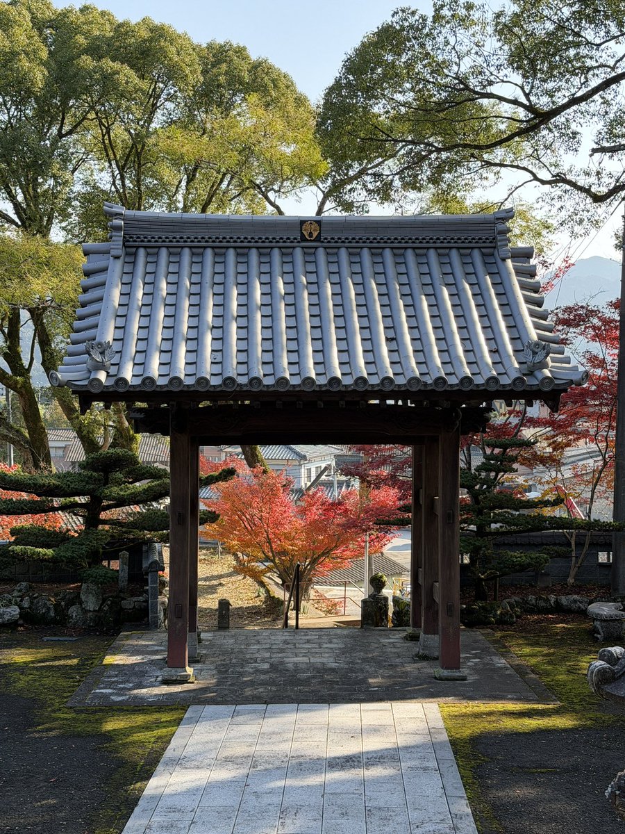 ureshinohoho_n's tweet image. #姑射山大定 

📸2025年11月26日

雨で一部散りましたが、まだ見ごろです☺️

 #うれしの  #嬉野市 
 #大定寺  #真言宗  #御朱印
 #嬉野紅葉  #嬉野紅葉2025