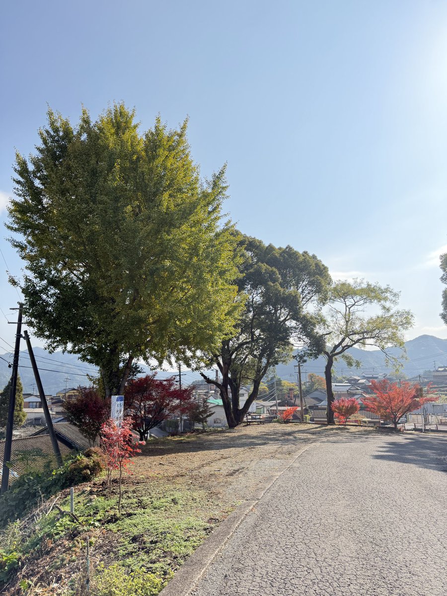 ureshinohoho_n's tweet image. #姑射山大定 

📸2025年11月26日

雨で一部散りましたが、まだ見ごろです☺️

 #うれしの  #嬉野市 
 #大定寺  #真言宗  #御朱印
 #嬉野紅葉  #嬉野紅葉2025