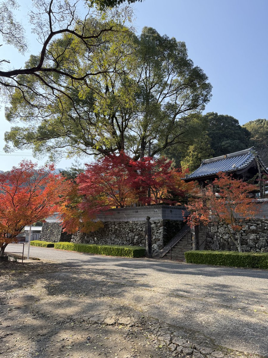 ureshinohoho_n's tweet image. #姑射山大定 

📸2025年11月26日

雨で一部散りましたが、まだ見ごろです☺️

 #うれしの  #嬉野市 
 #大定寺  #真言宗  #御朱印
 #嬉野紅葉  #嬉野紅葉2025