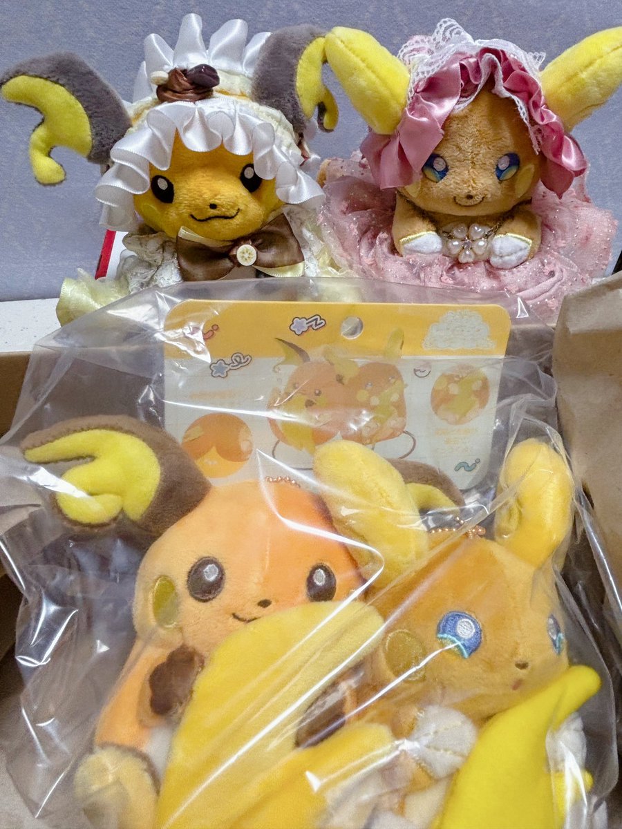 amagi_rai26's tweet image. にたものどうしのグッズ再販しますように🙏

#にたものどうし
#いいライチュウの日