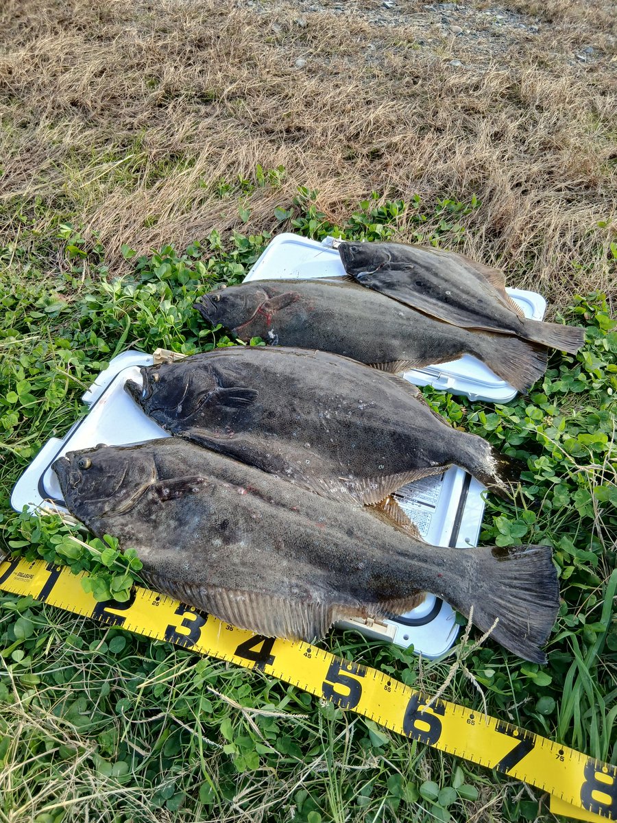 tripletsboat's tweet photo. 最近は…
今年4回目(笑)のマイボ釣り行ったり
ワンオフ部品作ったり
出張打ち合わせしたり
年内に完成
そしてお届けしたい💪

#ワンオフ
#アイパイロット
#カシママリンサービスすず丸
#ワンオフボートレール https://t.co/MEy9cQl8Cm