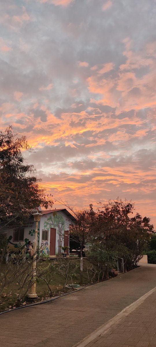 Evening run views😍😩