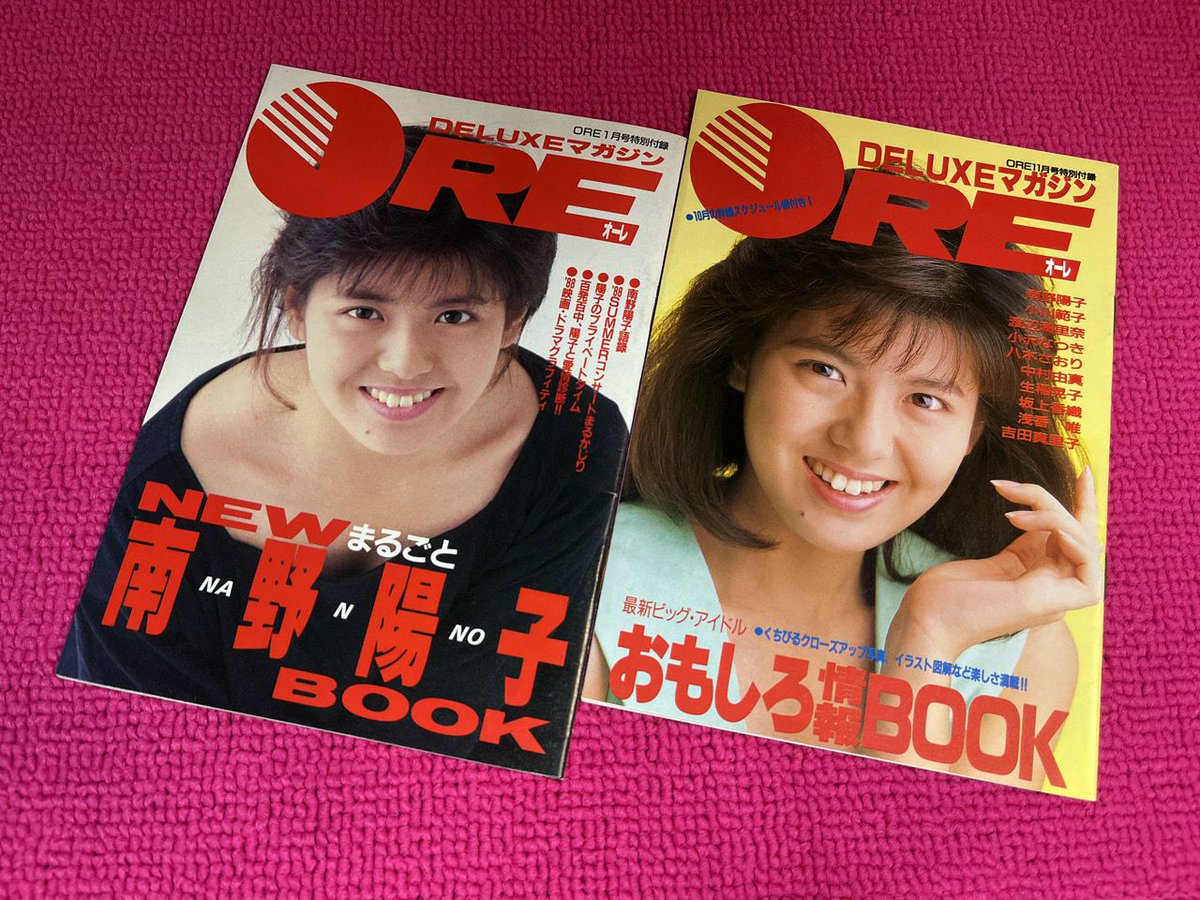 南野陽子 まるごとNANNO BOOK