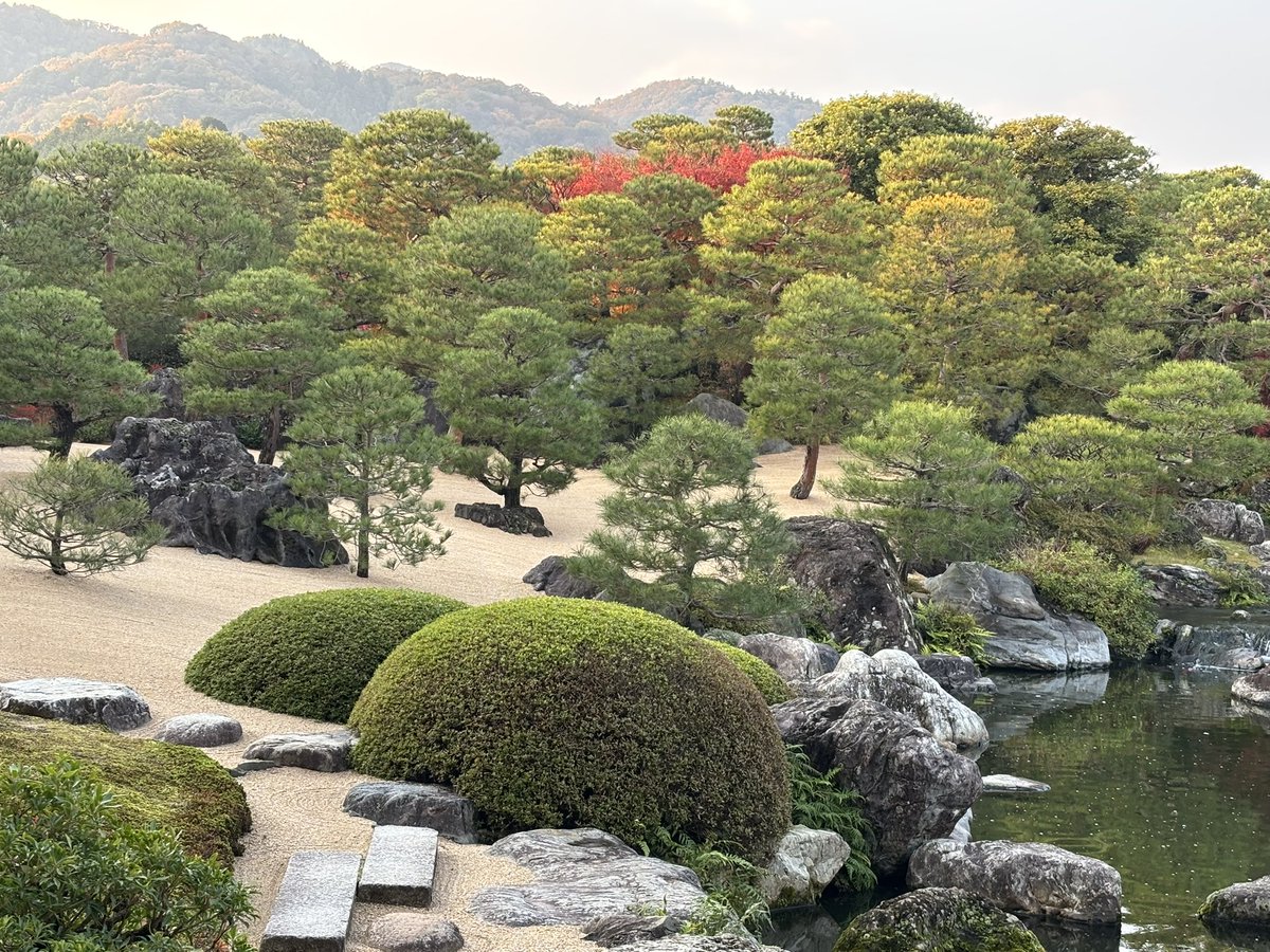 初　足立美術館🍁

色とりどりの庭園が美しい

優しい絵画に触れることができ満たされた

自然の木々とのコントラストがナイス☺️👍

帰りの三次盆地の霧が

まさに「霧の海」🌊😰

皆様今日も一日お疲れ様でした♪

#島根県
#日本庭園
#足立美術館
#紅葉