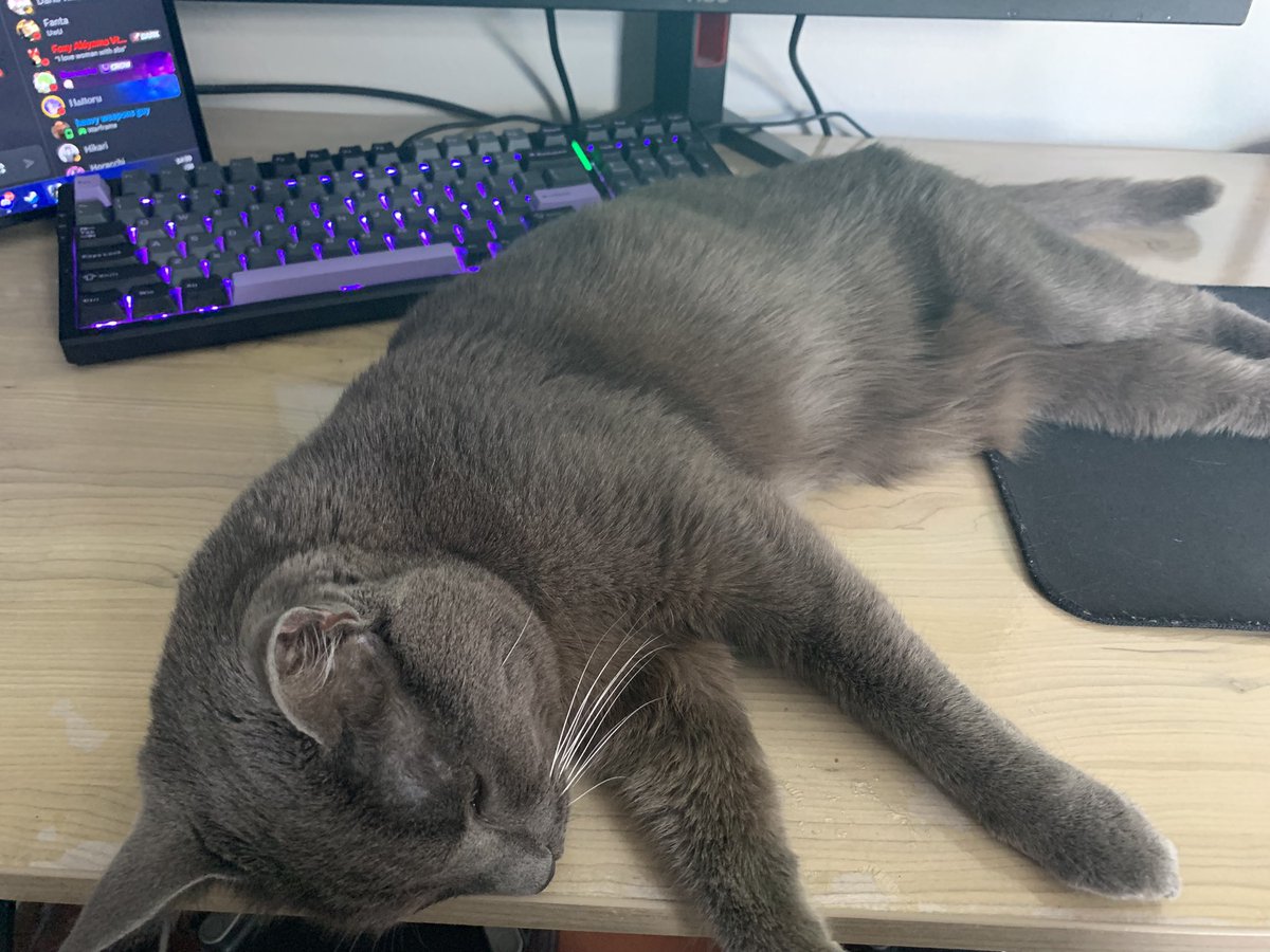 This is what I have to deal with on a daily basis