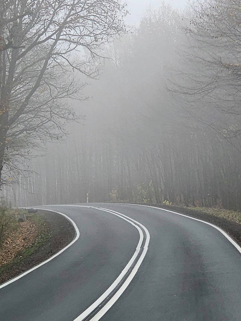 DorothyOstra's tweet image. Milky Way ▪️▪️▪️
#ShotOfTheDay #photooftheday #picoftheday #fotoshot #nofilter #photographylovers #ThePhotoHour #GoldenHour #Autumn