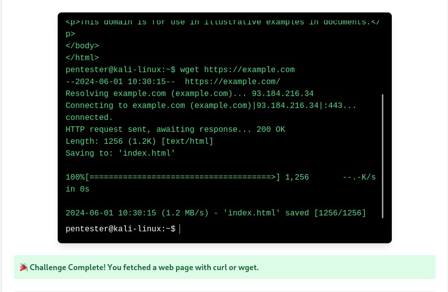 declanthedev's tweet image. Explored cybersecurity topics: cURL options for redirects, POST data, customizing requests, bypassing SSL/TLS errors, and banner-grabbing to identify services for vulnerability assessment. 

Thank you @alx_africa @alxseinnigeria 
#CyberSecurity #myalxstoryng