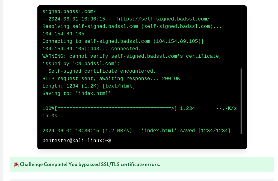 declanthedev's tweet image. Explored cybersecurity topics: cURL options for redirects, POST data, customizing requests, bypassing SSL/TLS errors, and banner-grabbing to identify services for vulnerability assessment. 

Thank you @alx_africa @alxseinnigeria 
#CyberSecurity #myalxstoryng