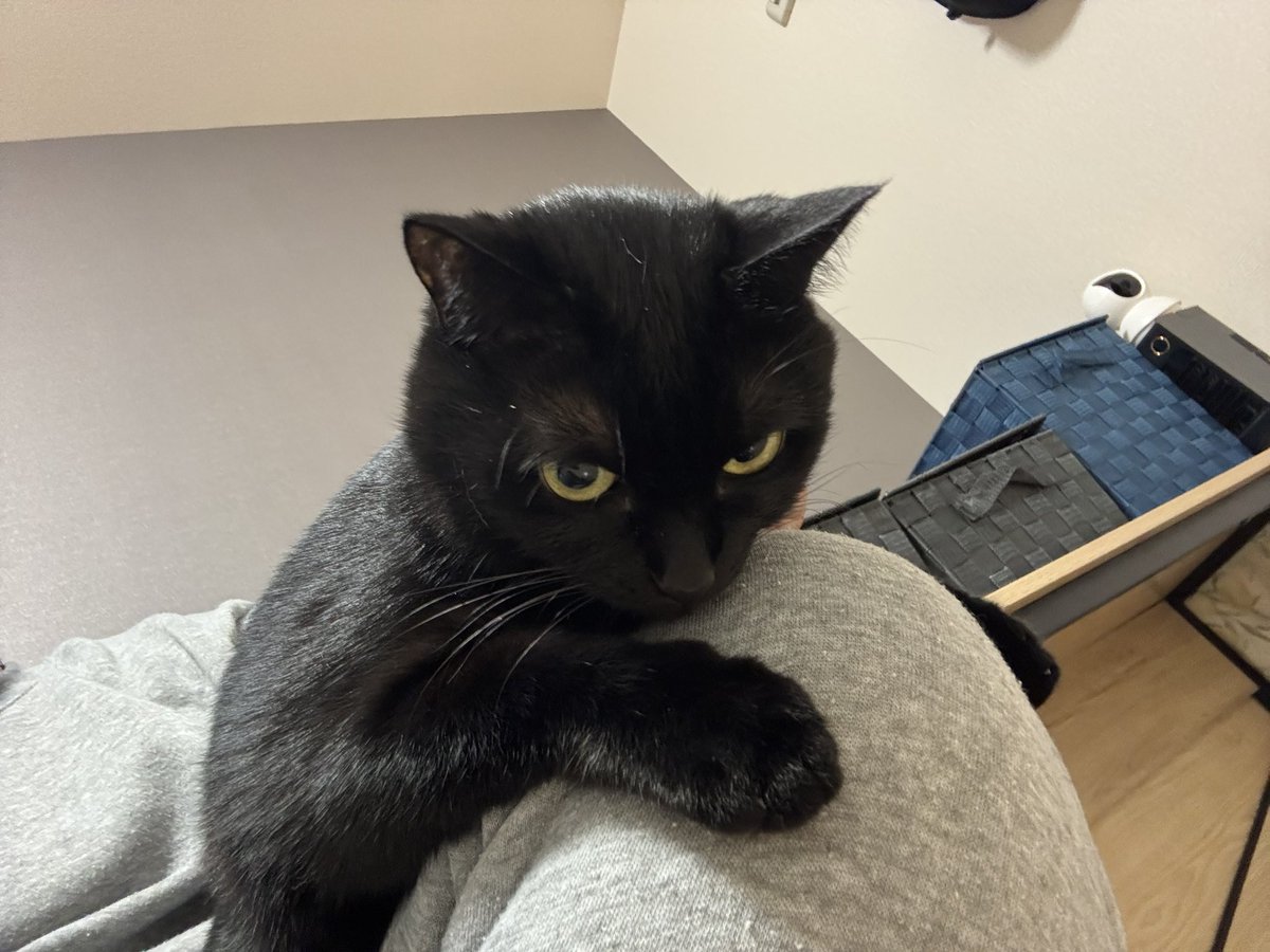 Clams demands all the love