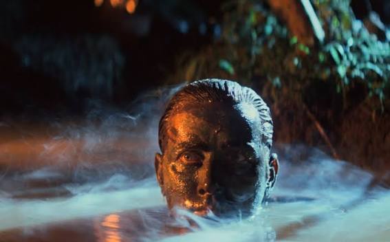 Normal working intelligence is a kind of a functional algorithm. It'll get you up and dressed and take your hand away from the stove.

But *something happens in the brain when you're in great health &amp; well simulated*. Extra intelligence rises from the cells like steam from water.