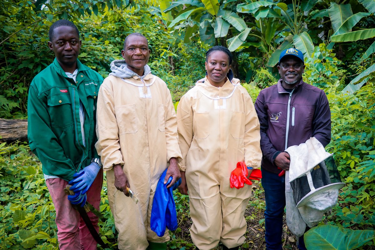 📍A Méyang, dans le département du Komo-Moandah, avec l’appui du <a href="/GEF_SGP/">Small Grants Programme</a>, le programme faune sauvage et développement durable du <a href="/CenarestGabon/">CENAREST GABON</a> expérimente une méthode apicole moderne. Les ruches à cadres mobiles permettent d’optimiser la récolte tout en préservant les rayons.