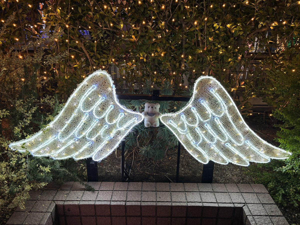 KirakiraCore's tweet image. 🐻‍❄️おでかけえのき🐻‍❄️

コラボレストランのコースター被ってちょっと不服なえのきとイルミネーションではしゃぐ天使えのき🪽💫