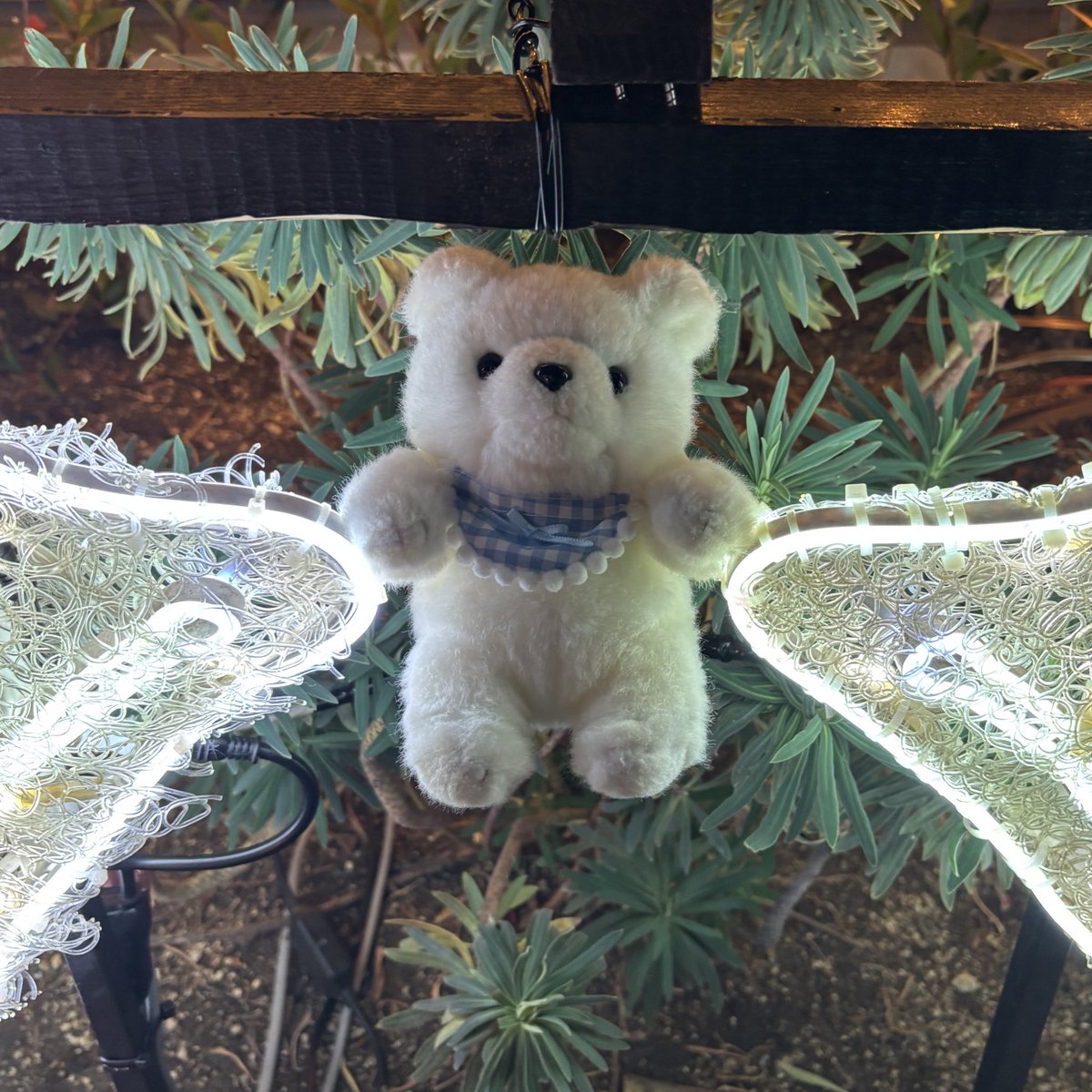 KirakiraCore's tweet image. 🐻‍❄️おでかけえのき🐻‍❄️

コラボレストランのコースター被ってちょっと不服なえのきとイルミネーションではしゃぐ天使えのき🪽💫