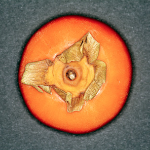 panoramicus's tweet photo. @apple #lotus #broccoli #mushroom https://t.co/AFbB8diO2W