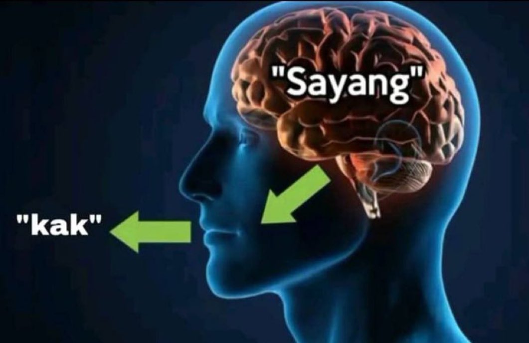 sosmed keras tweet media
