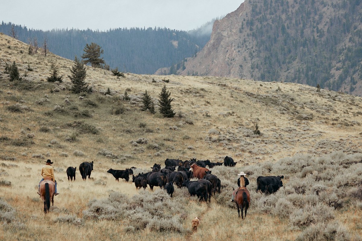 some pics from Pitchfork Ranch in Meeteetse, Wyoming. They're hiring a Summer Intern for their cattle and hay ranch loca
