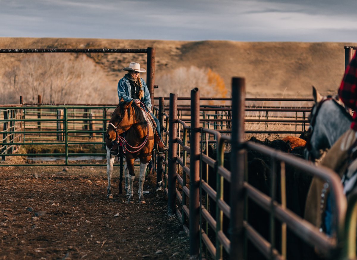 some pics from Pitchfork Ranch in Meeteetse, Wyoming. They're hiring a Summer Intern for their cattle and hay ranch loca