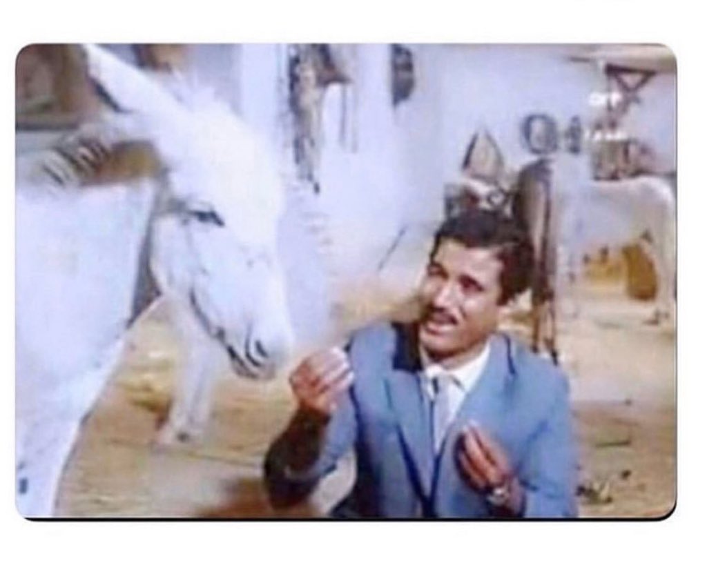 sir__msa3d's tweet image. زحمه والشارع واقف تدق هرن ليش ليش