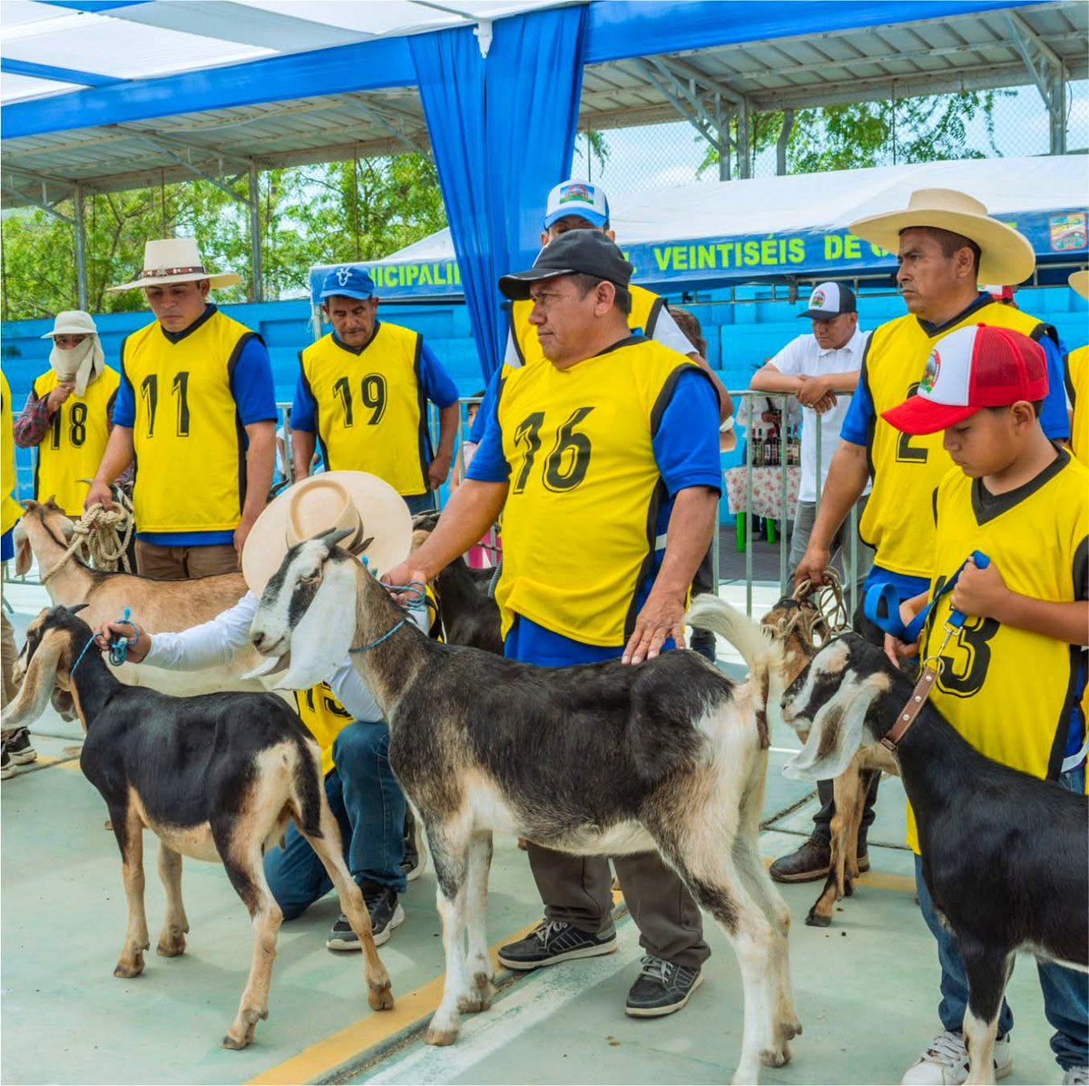 🔵𝐆𝐎𝐑𝐄 𝐏𝐈𝐔𝐑𝐀 𝐏𝐑𝐄𝐌𝐈𝐎́ 𝐀 𝐋𝐎𝐒 𝐌𝐄𝐉𝐎𝐑𝐄𝐒 𝐂𝐑𝐈𝐀𝐃𝐄𝐑𝐎𝐒 𝐄𝐍 𝐋𝐀 𝐅𝐄𝐑𝐈𝐀 𝐂𝐀𝐏𝐑𝐈𝐍𝐀