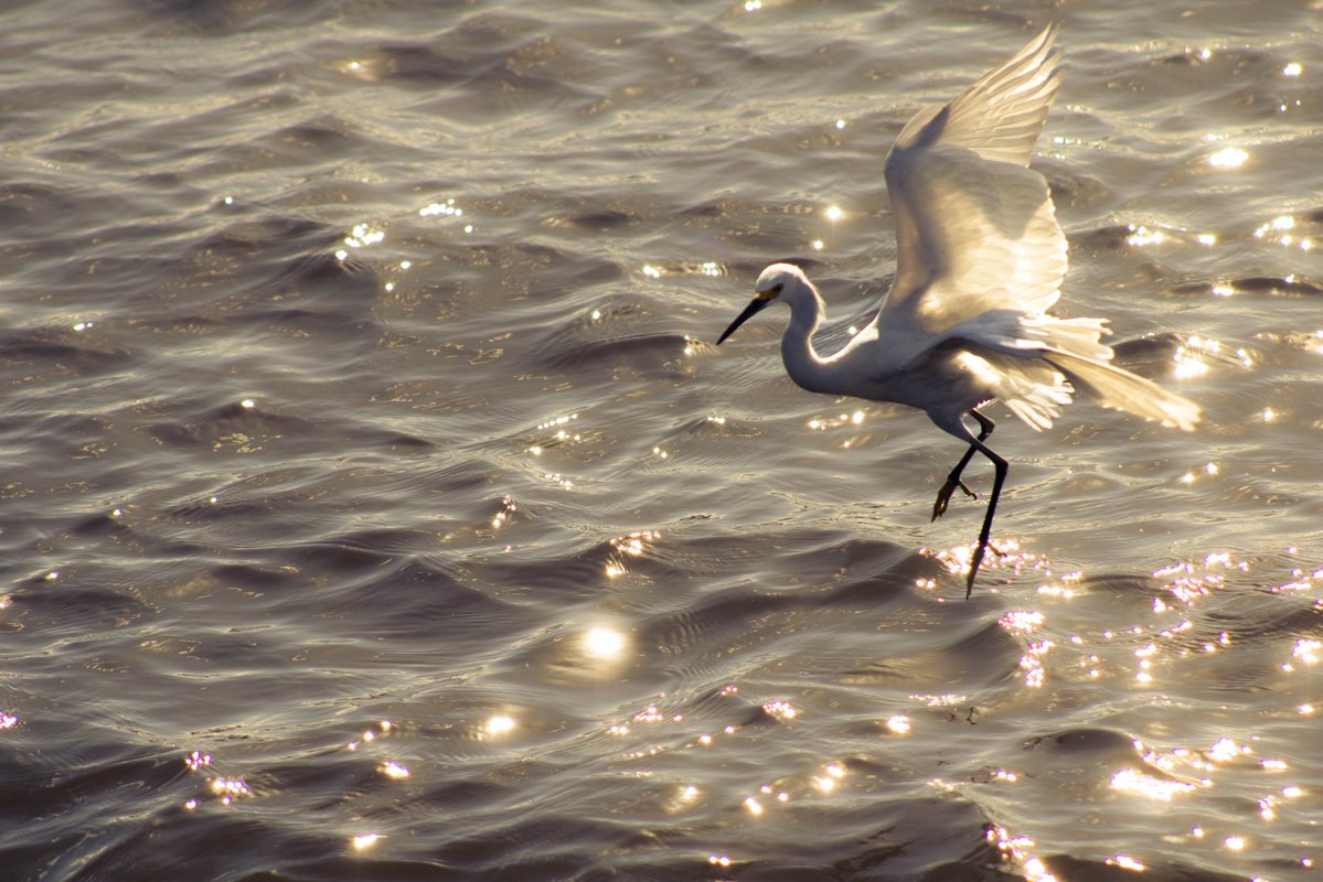 medeixaporonome's tweet image. oi esses dias eu tirei uma foto legal