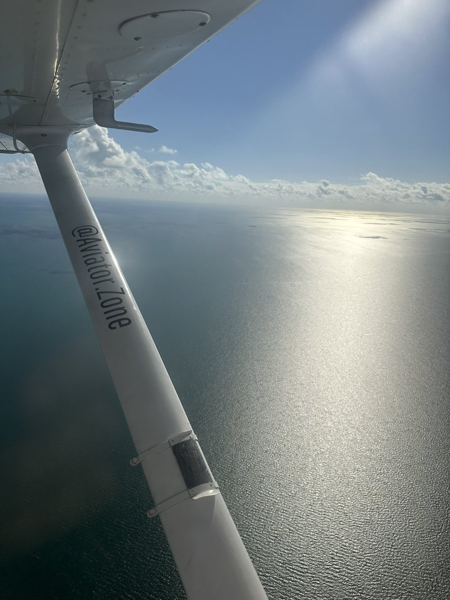 Lillian H tweet media