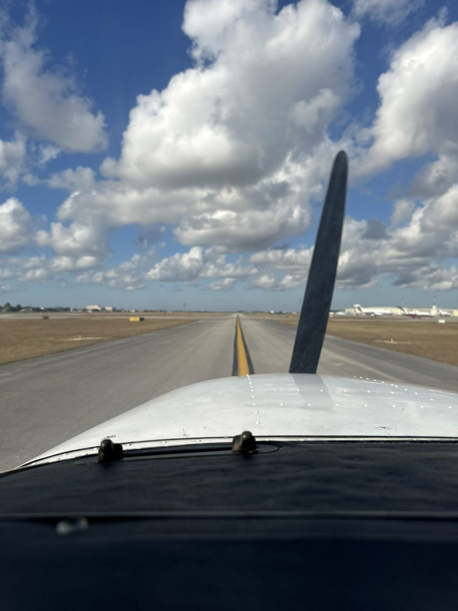 Lillian H tweet media