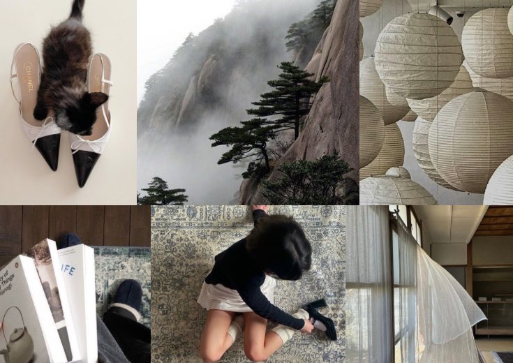 𝘮𝘪𝘺𝘶 ♡ (@miyuccat) on Twitter photo 