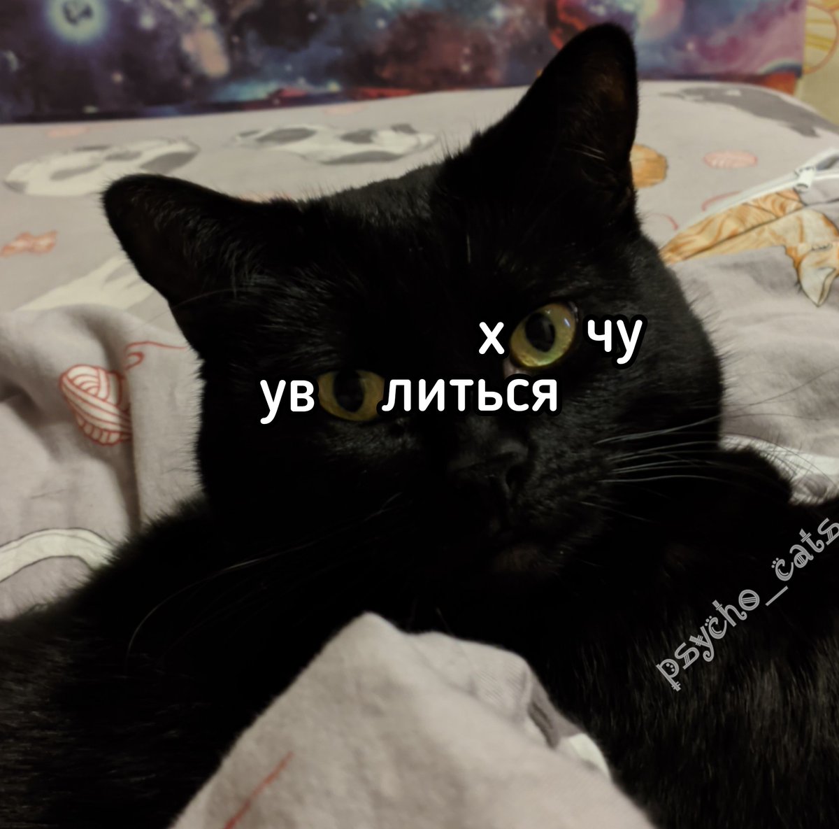 psycho__cats's tweet photo. Читай по глазам https://t.co/ghcE8Na8i4