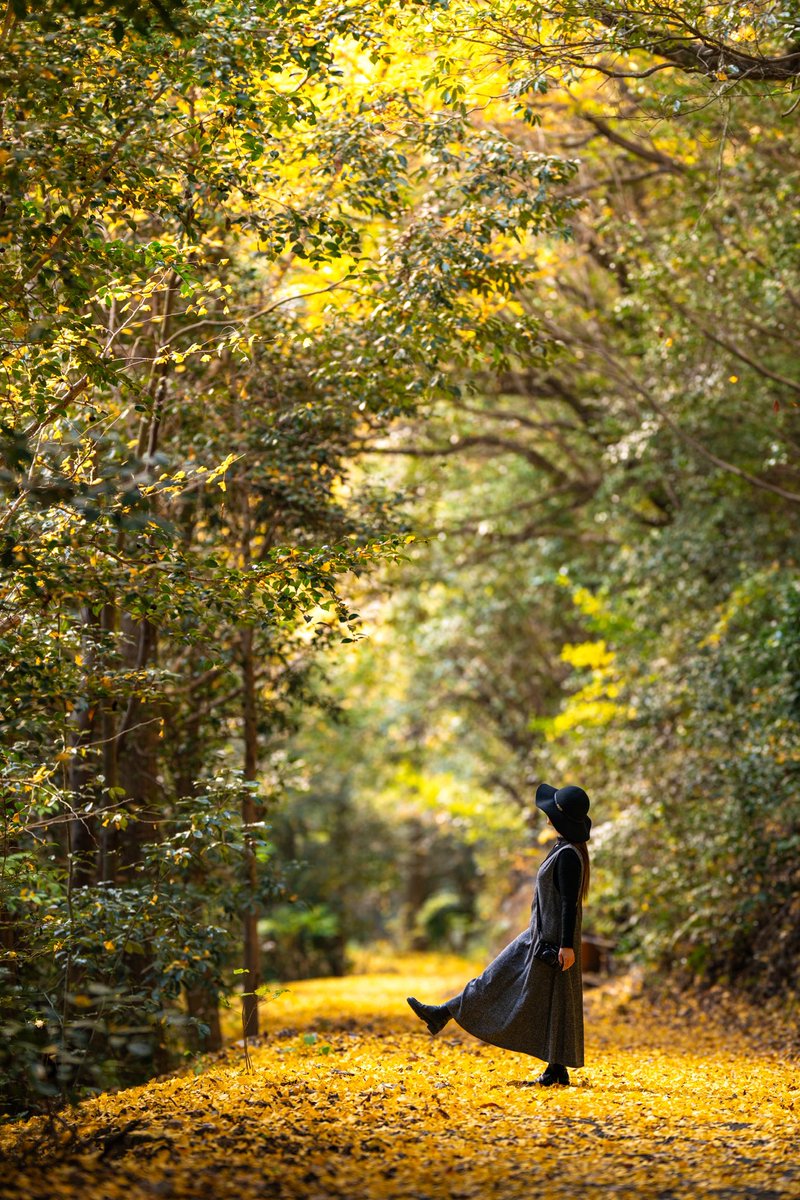 黄金色の散歩道

#nikoncreators #ファインダー越しの私の世界ᅠ