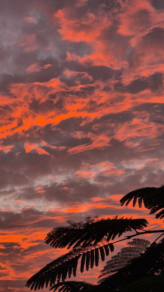 ruchachacha_'s tweet photo. Pune skies x Stranger Things marketing https://t.co/J1EHEQtReK