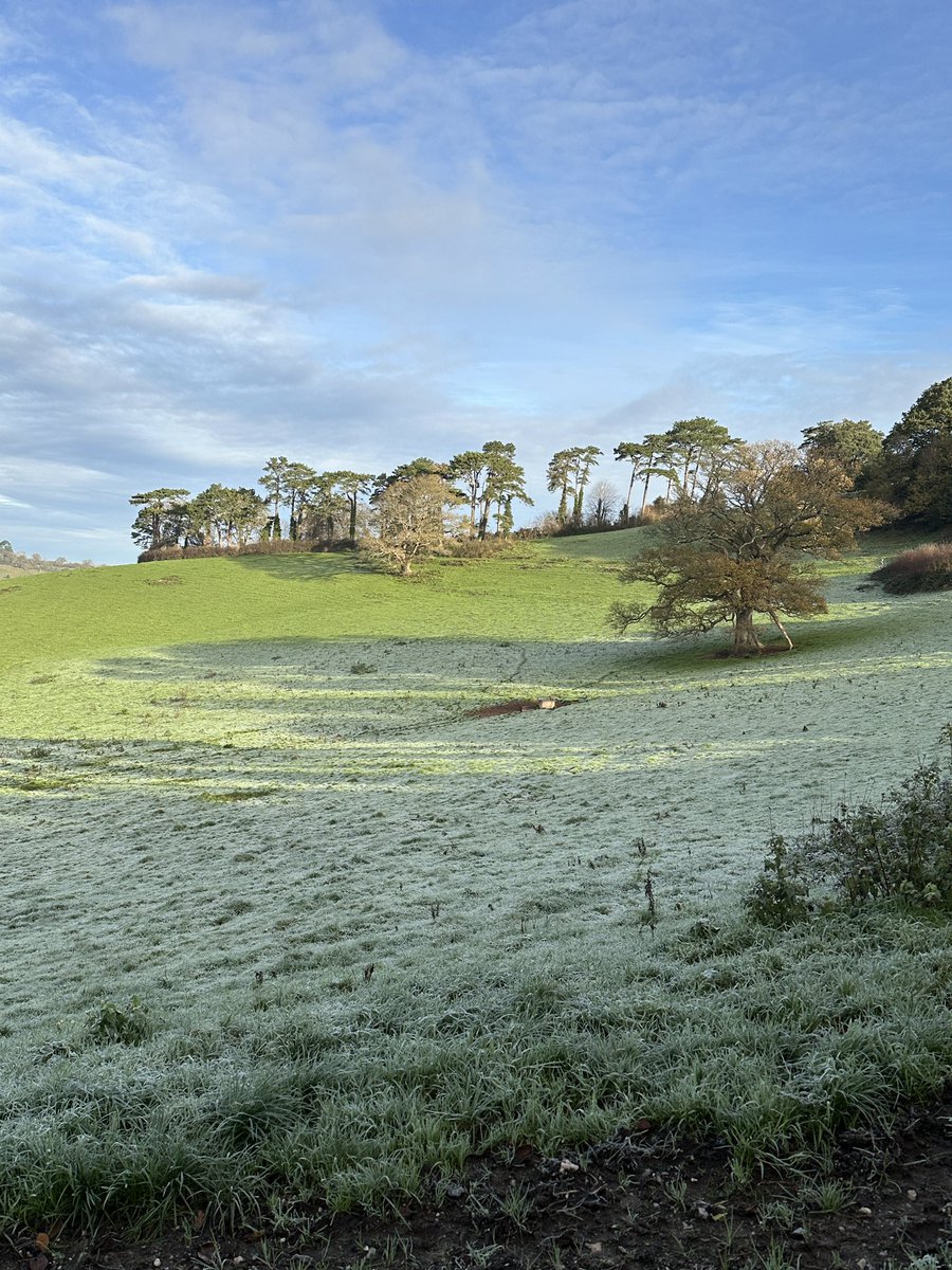 RAGriggsauthor's tweet image. It was bright and frosty for my allotment walk this morning. 

#walk #devon #allotment