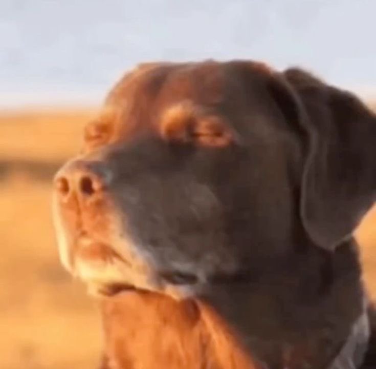 BlizzPunter's tweet image. I feel it&apos;s best to explore first 
But not wildly