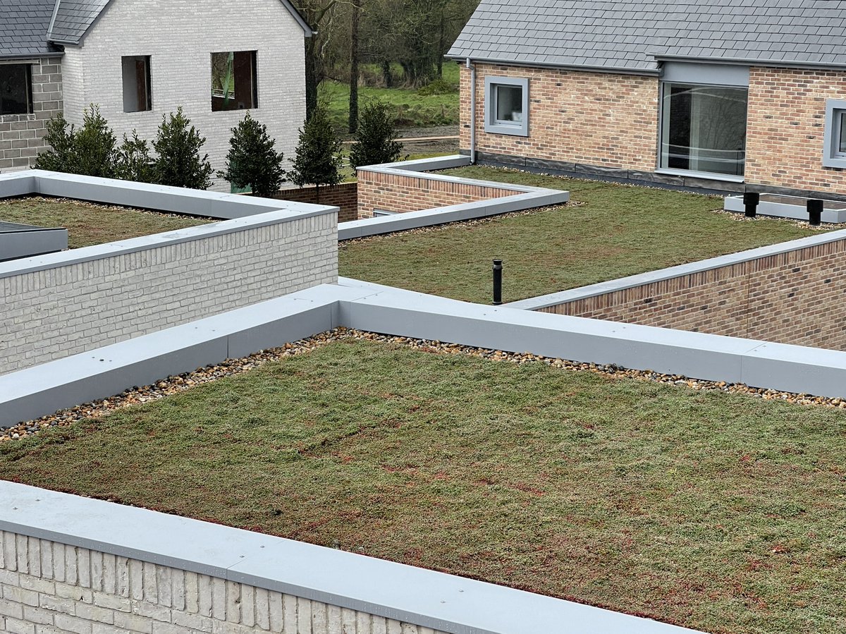 ICB_Projects tweet media