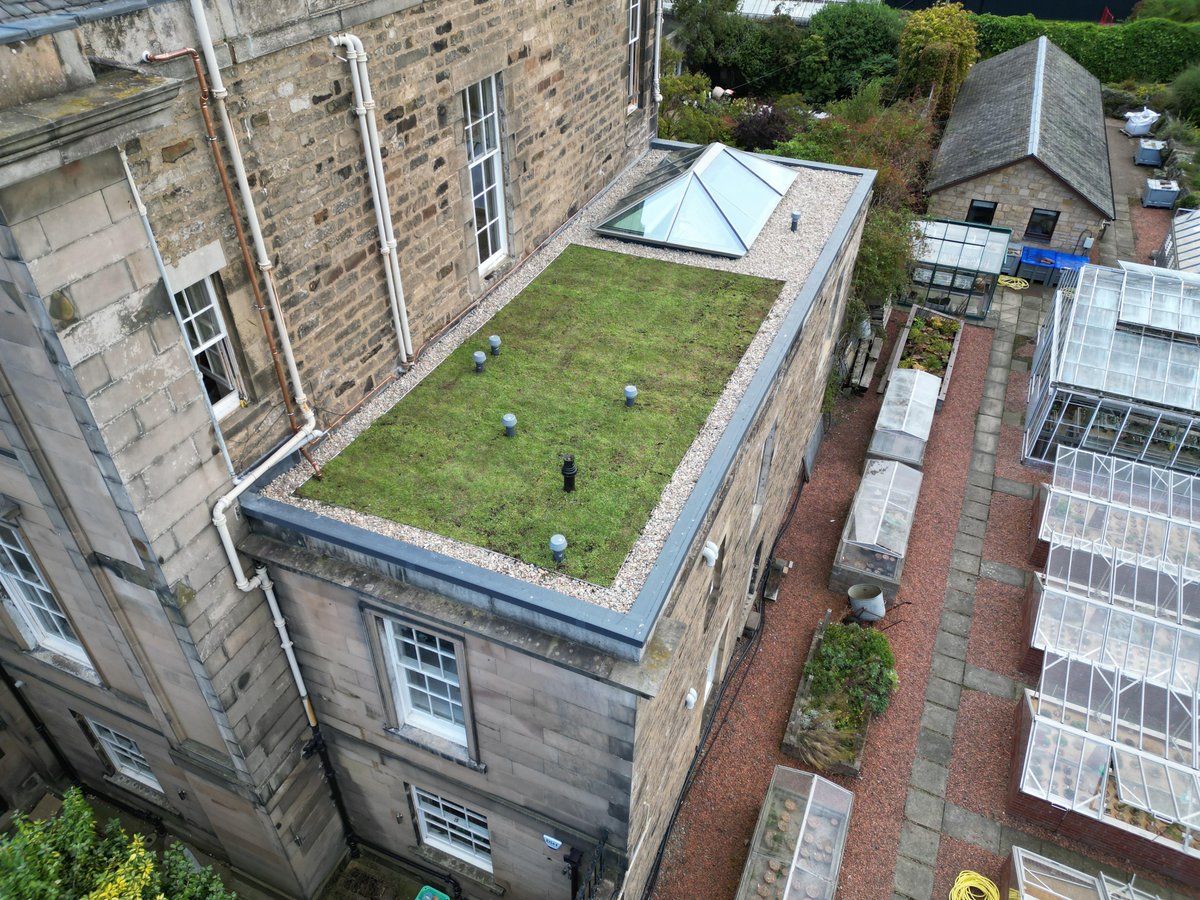 ICB_Projects tweet media