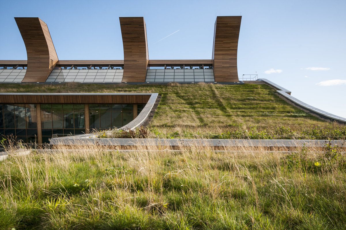 ICB_Projects tweet media