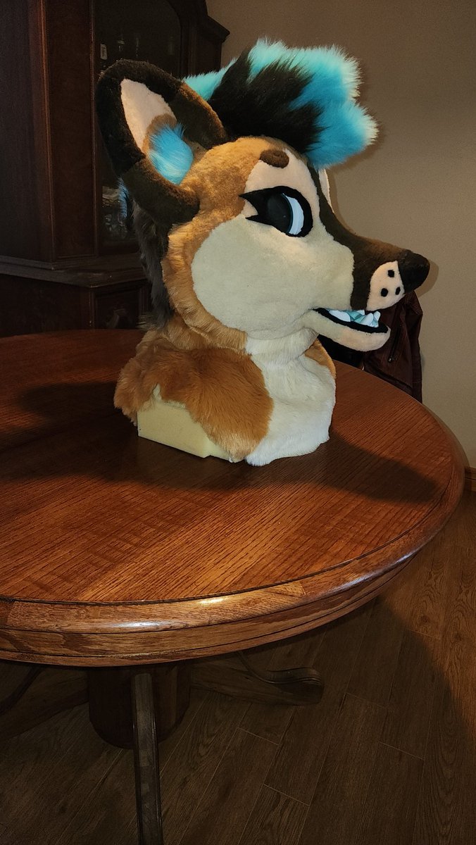 Here's a species we don't see often, the thylacine.