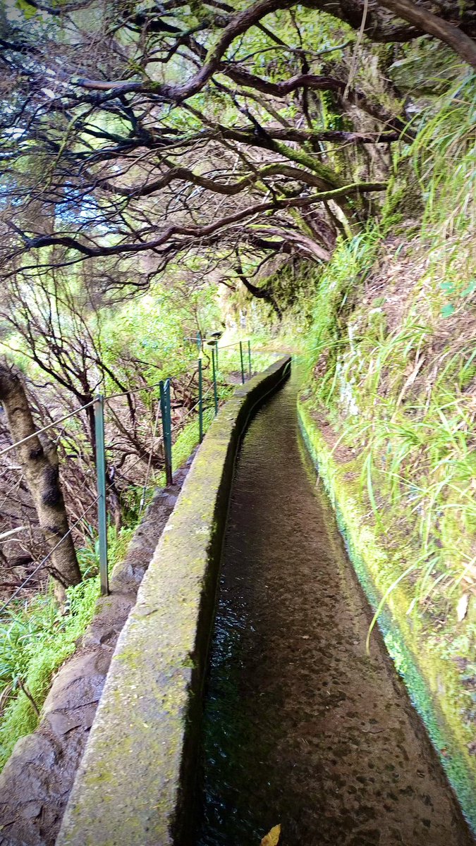 FeelingMadeira's tweet photo. https://t.co/riwsmkcBue