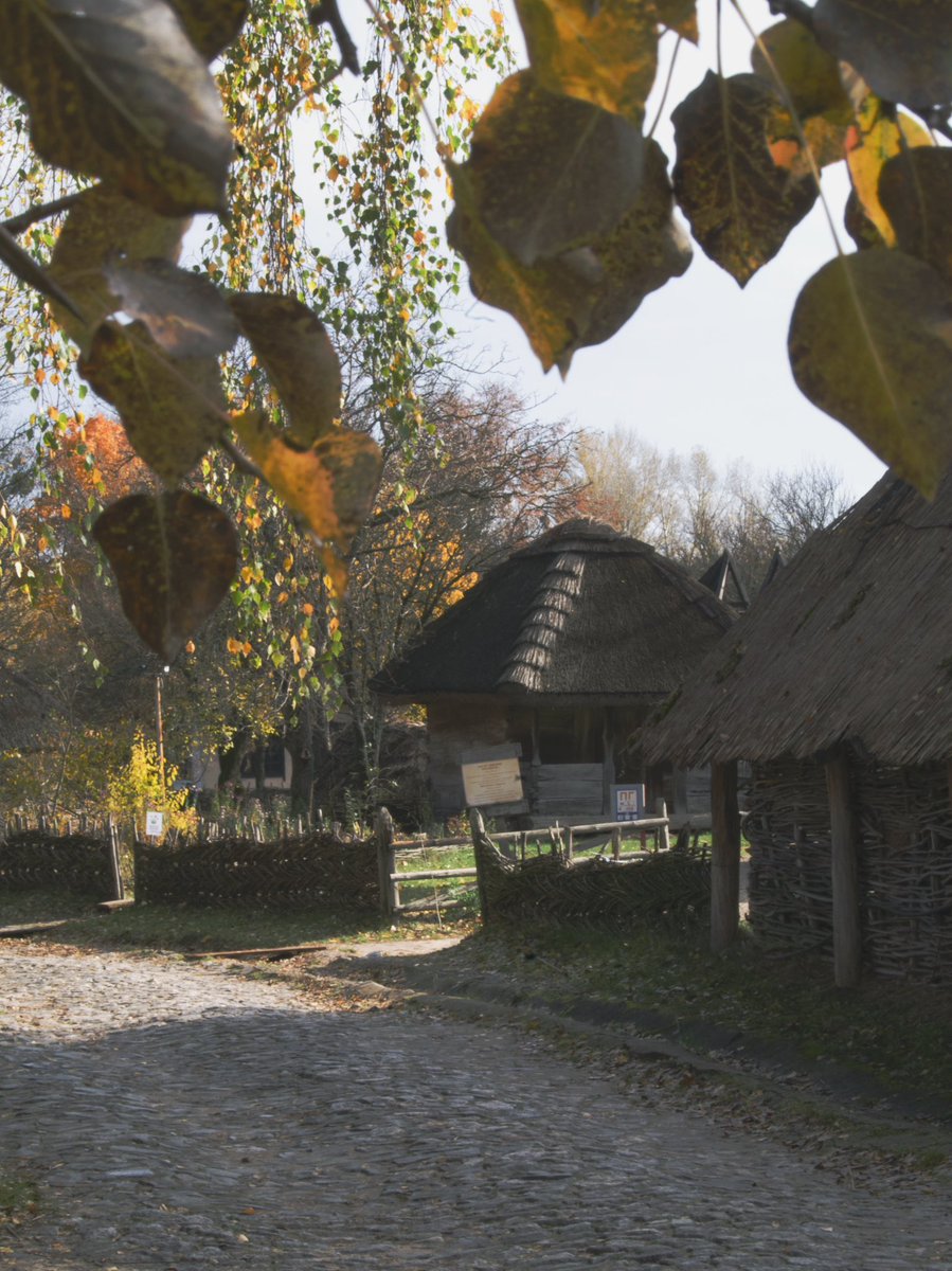 Ще трохи осіннього фото з <a href="/pyrohivmuseum/">pyrohiv.museum</a> , тепер з камери