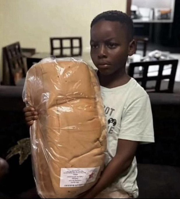 tm_dynamics's tweet image. This is me the breadwinner of my home telling you that yapping @NetworkNoya will give you more bread upon TGE. 
$NOYA is the ticker

#NoyaTGE
#InfoFi 
#NoyaVault